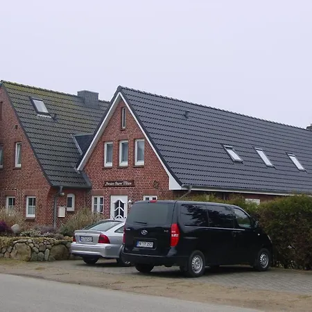 Sturmmöwe Gasthof Norddorf auf Amrum