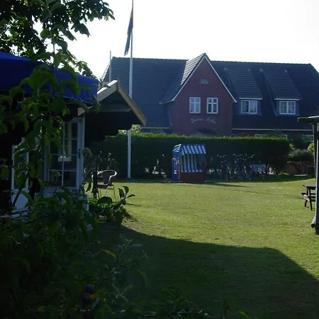 Sturmmoewe