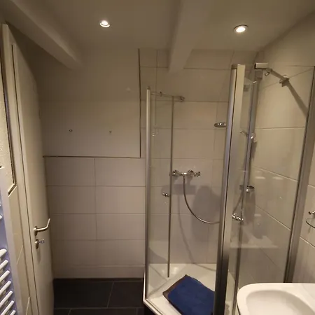 Sturmmöwe Norddorf auf Amrum