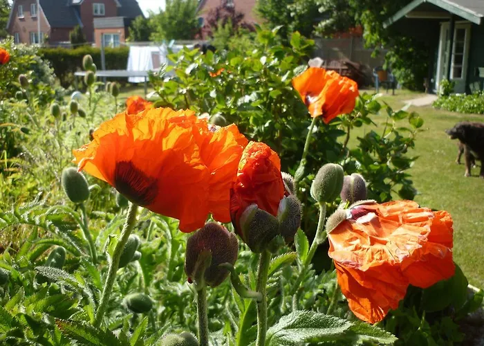 Sturmmowe Guest house