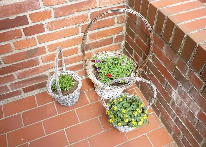 Sturmmoewe 3* Norddorf