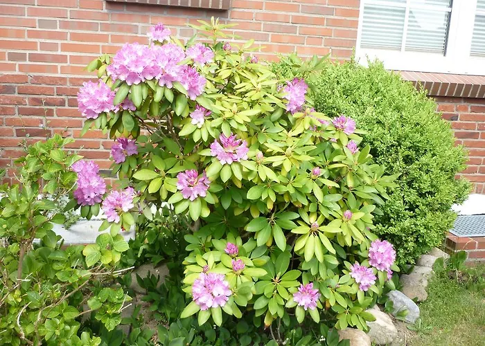 Sturmmowe Guest house Norddorf